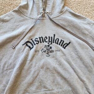 Gray Disneyland Hoodie